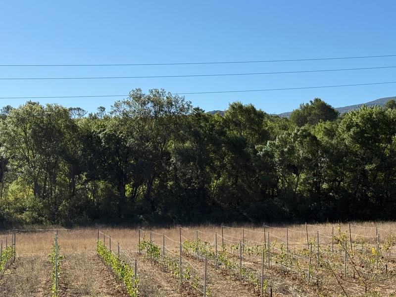 Terrain agricole - 2 570 m²