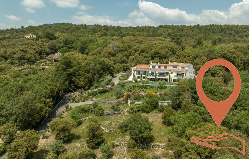 Viager - Villa - 620 m² - 9 pièces