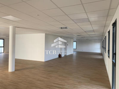 Bureau - 305 m²