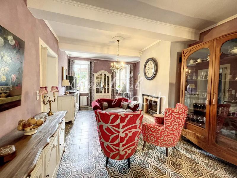 Hôtel particulier - 483 m² - 10 pièces