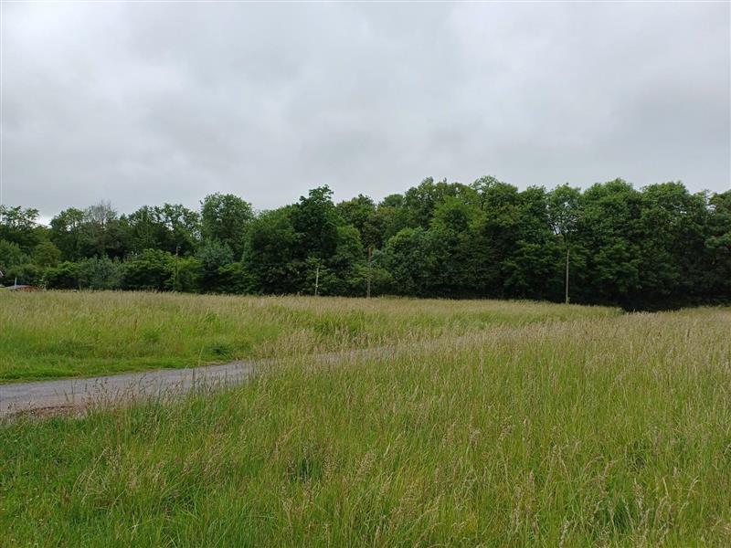 Terrain constructible