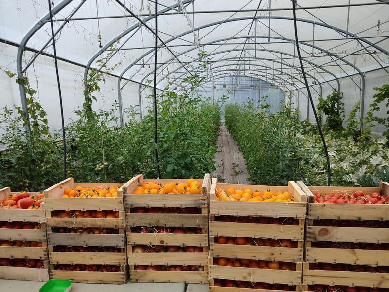 Le Goût des Saisons