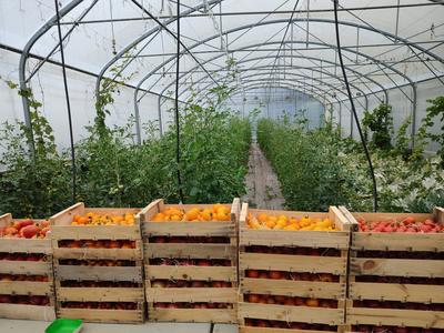 Le Goût des Saisons