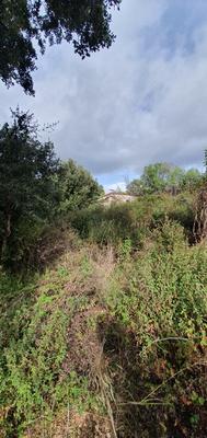 Terrain constructible - 3 000 m²