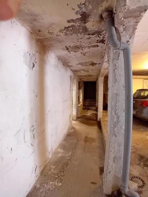 Immeuble - 295 m² - 9 pièces