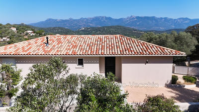 Villa - 175 m² - 6 pièces