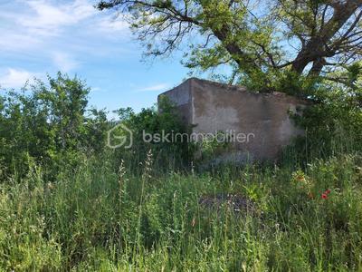 Terrain - 11 536 m²