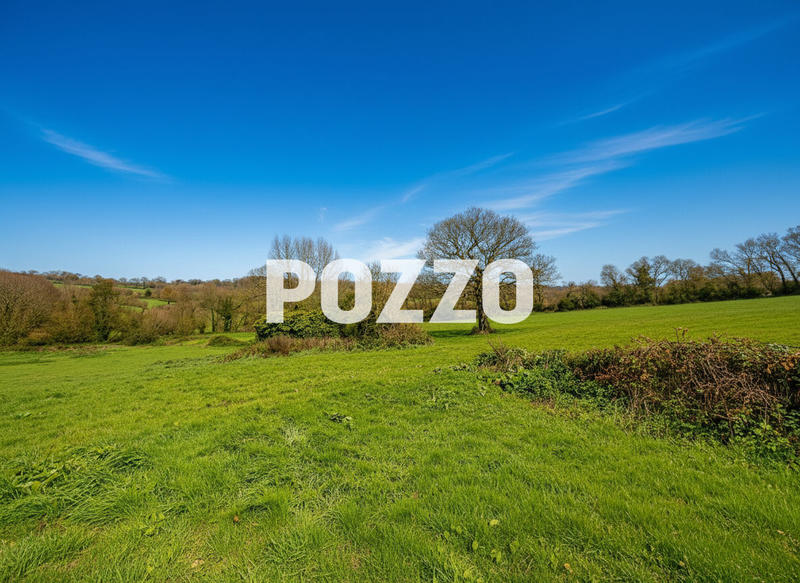 Maison - 224 m² - 6 pièces