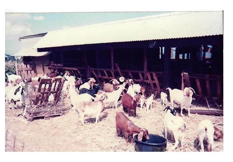 Terrain agricole - 167 518 m²