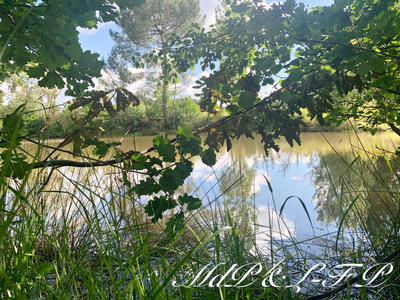 Maison - 467 m² - 16 pièces