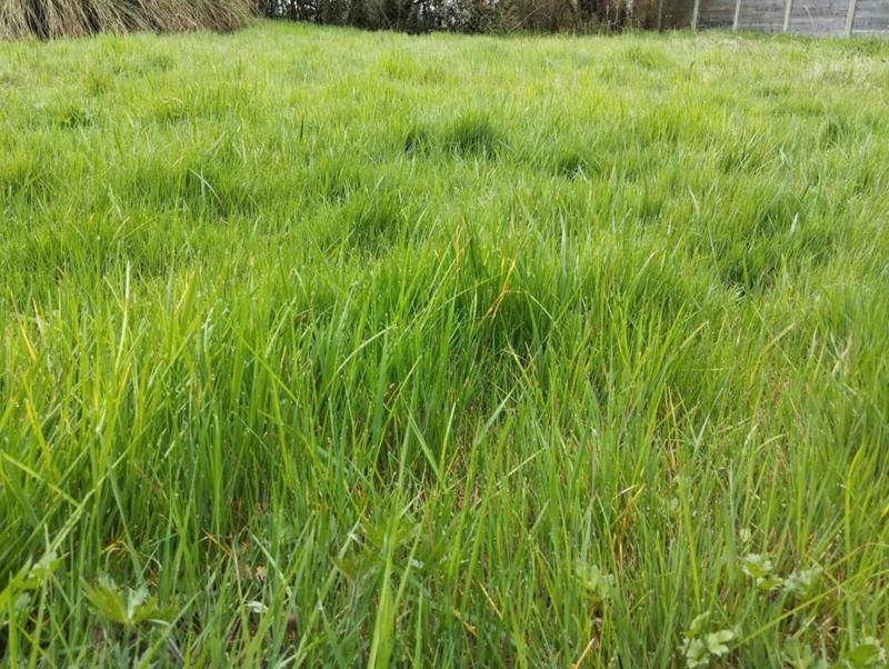 Terrain constructible - 625 m²