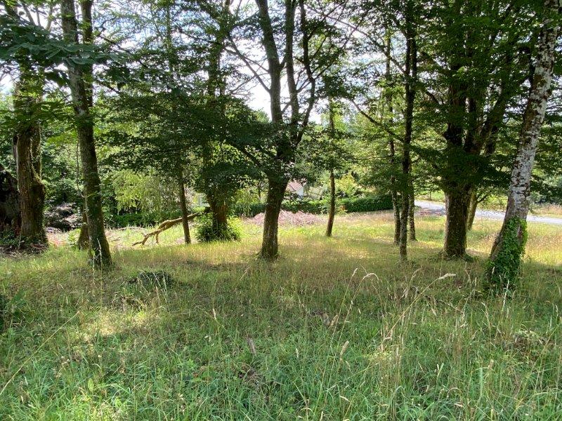 Terrain constructible - 2 281 m²