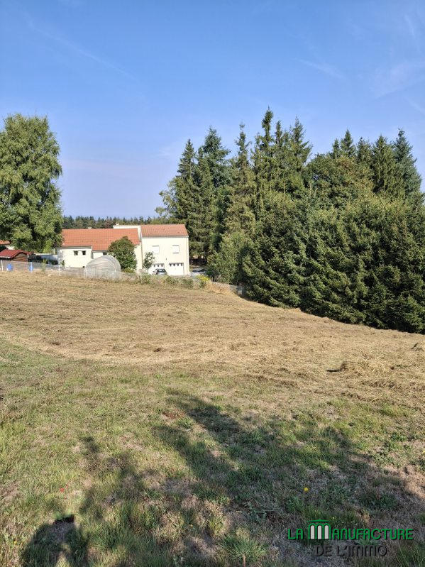 Terrain - 1 247 m²