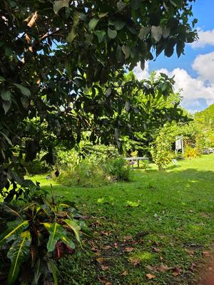 Villa - 180 m² - 9 pièces