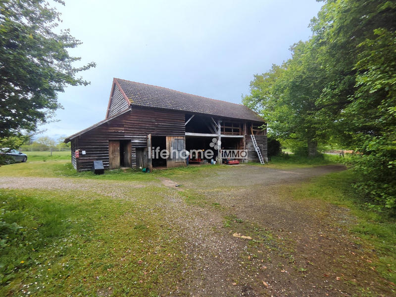 Maison ancienne - 240 m² - 7 pièces