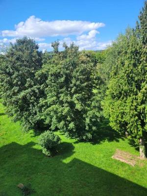 Appartement - 96 m² - 4 pièces