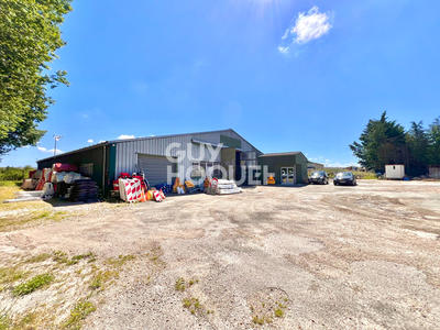 Local d'activité / Entrepôt - 620 m² - 5 pièces