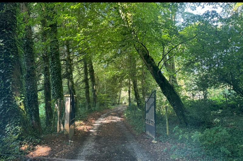 Demeure - 500 m² - 18 pièces