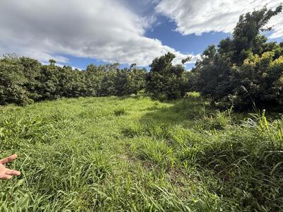 Propriété - 245 m² - 9 pièces