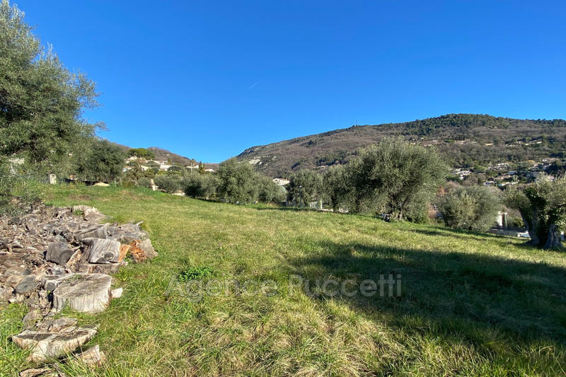 Terrain - 1 001 m²