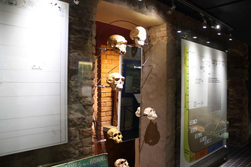 Visite commentée de la section Préhistoire