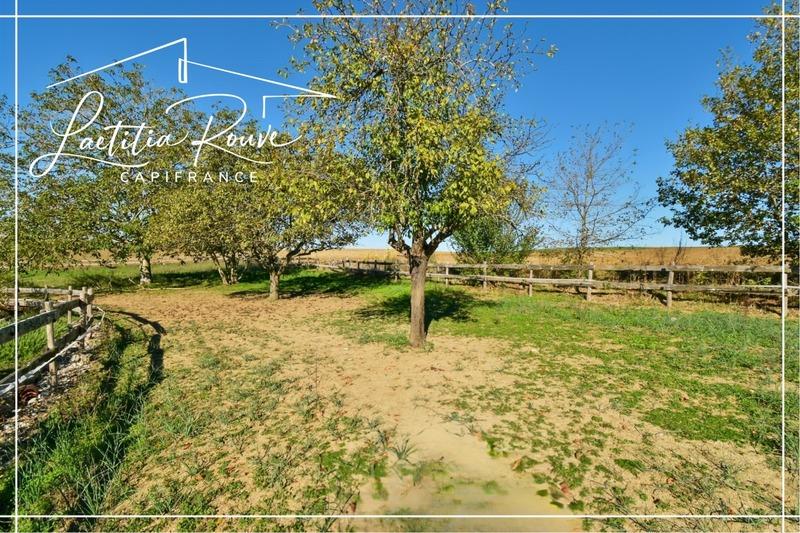 Maison - 370 m² - 8 pièces