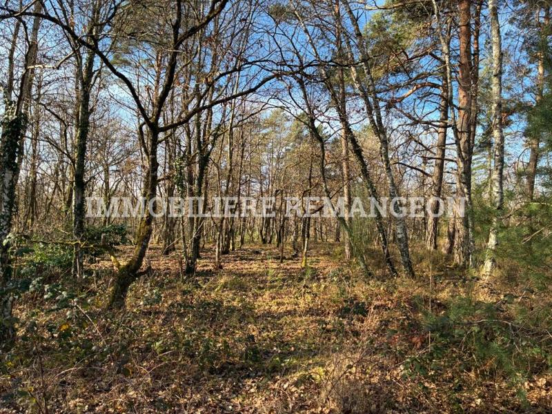 Demeure - 377 m² - 13 pièces