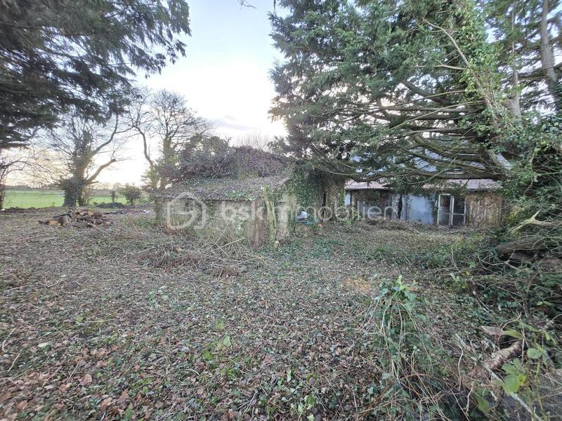 Maison en pierre - 116 m² - 3 pièces