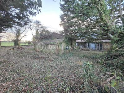 Maison en pierre - 116 m² - 3 pièces