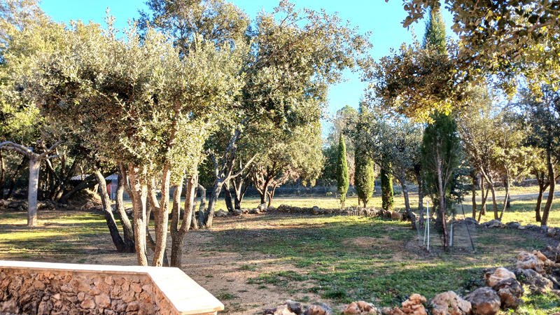 Viager - Maison - 190 m² - 5 pièces