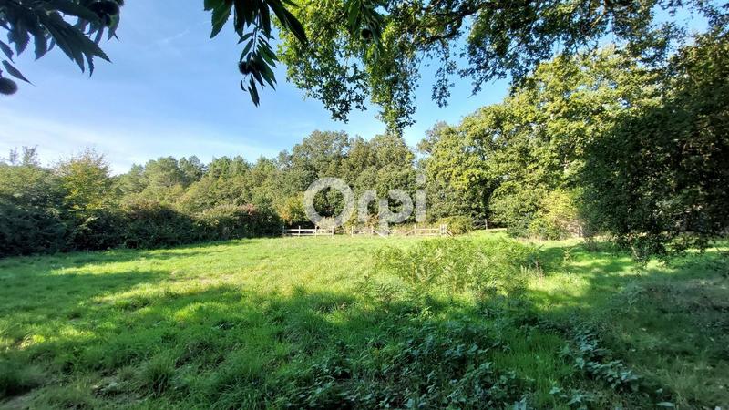 Maison - 138 m² - 5 pièces