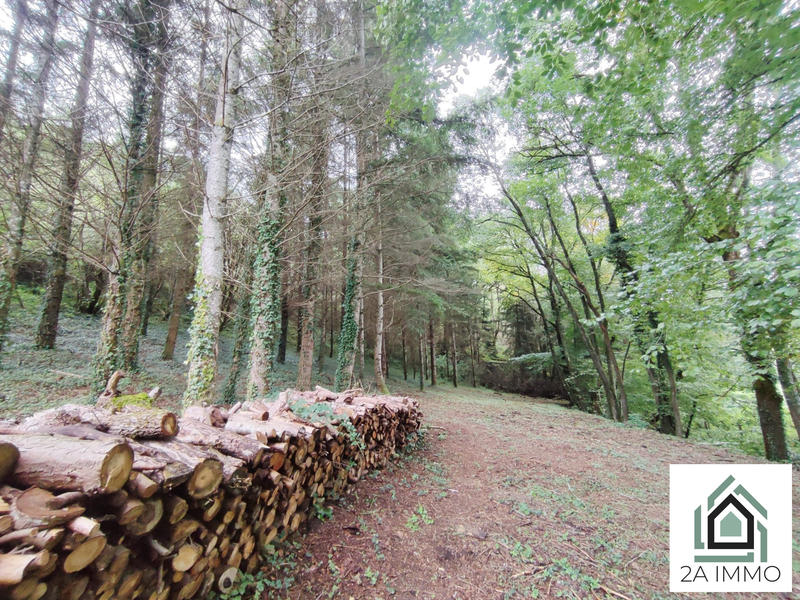 Maison - 205 m² - 10 pièces