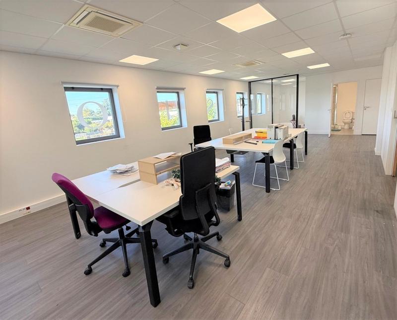 Bureau - 290 m² - 7 pièces
