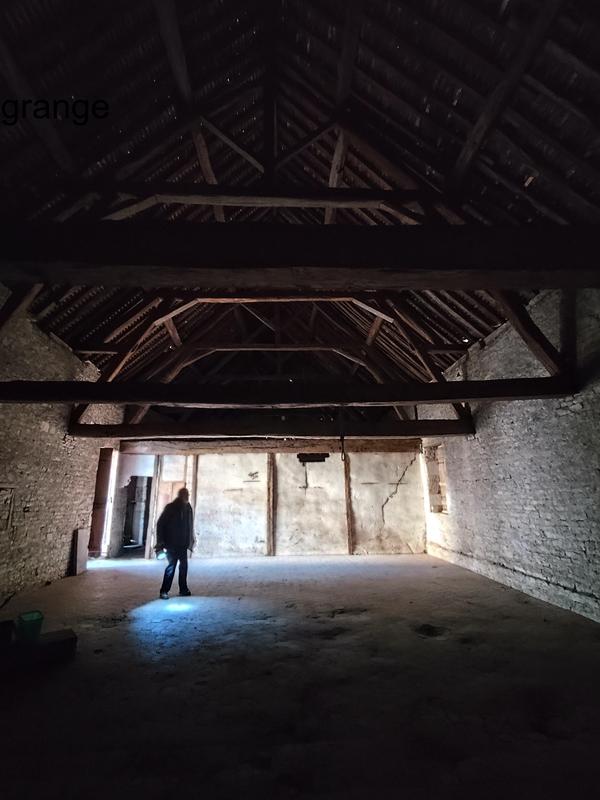 Viager - Propriété - 407 m² - 16 pièces