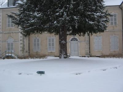 Spectacle de marionnettes et théâtre d'objets