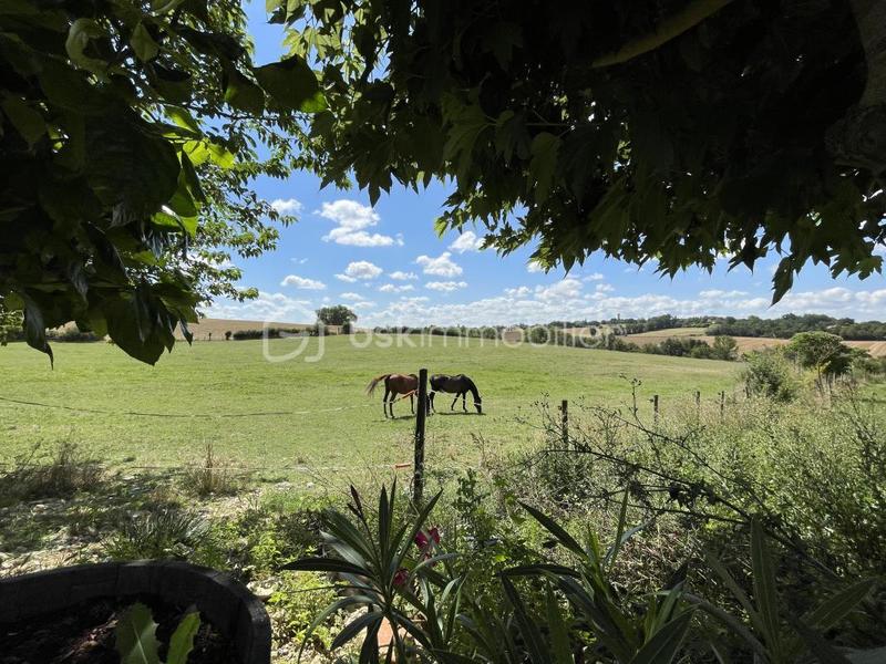 Maison de domaine équestre - 280 m² - 6 pièces