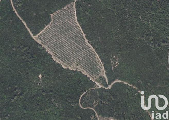 Terrain agricole - 35 260 m²