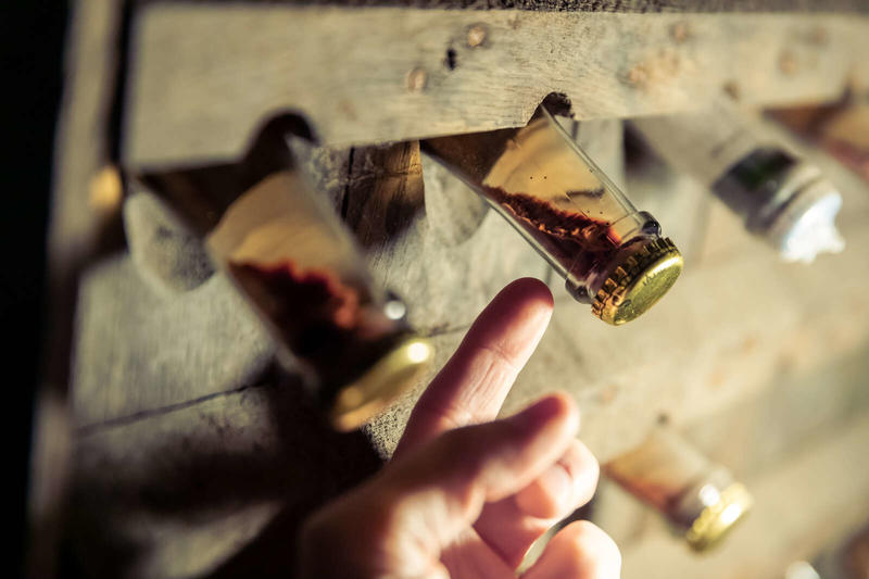 Parenthèse Vigneronne : l'art de la vinification