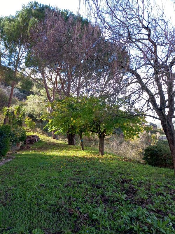 Appartement ancien - 81 m² - 4 pièces