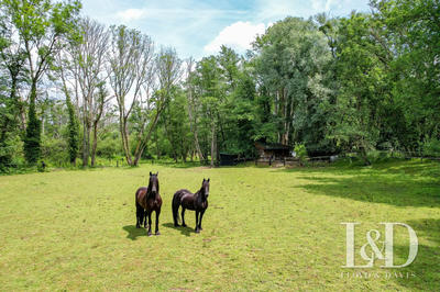 Maison - 310 m² - 14 pièces