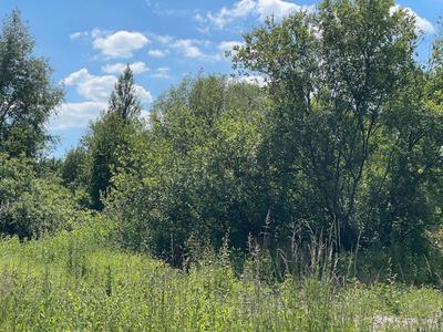 Terrain constructible - 1 295 m²