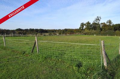 Terrain constructible - 2 250 m²