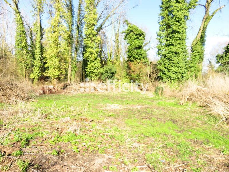 Terrain constructible - 2 000 m²