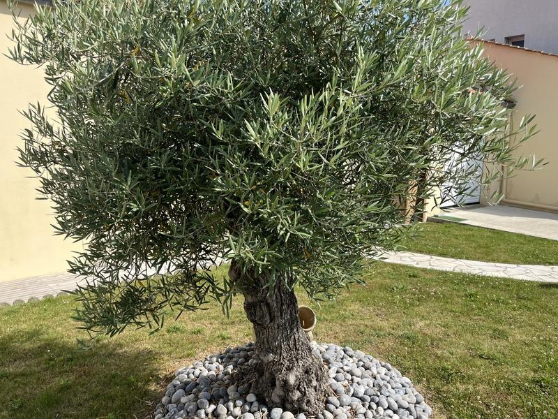 Maison - 86 m² - 5 pièces