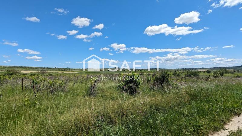 Terrain agricole - 12 865 m²