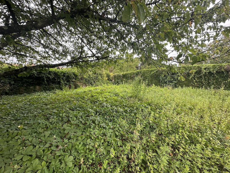 Maison de village - 160 m² - 7 pièces