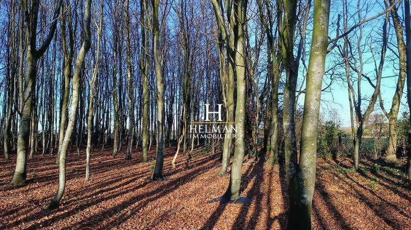 Maison - 230 m² - 8 pièces