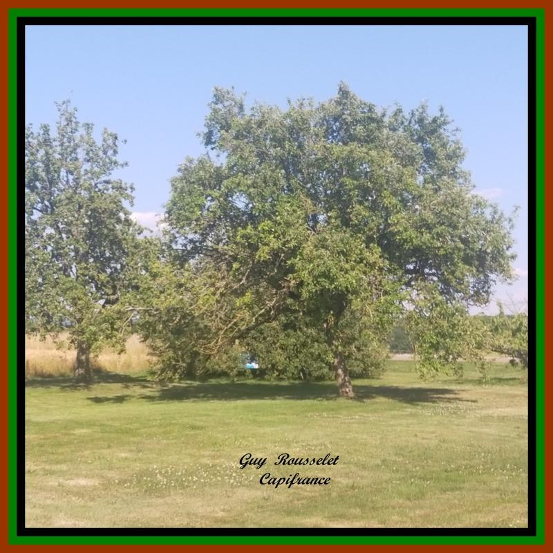 Propriété - 210 m² - 9 pièces