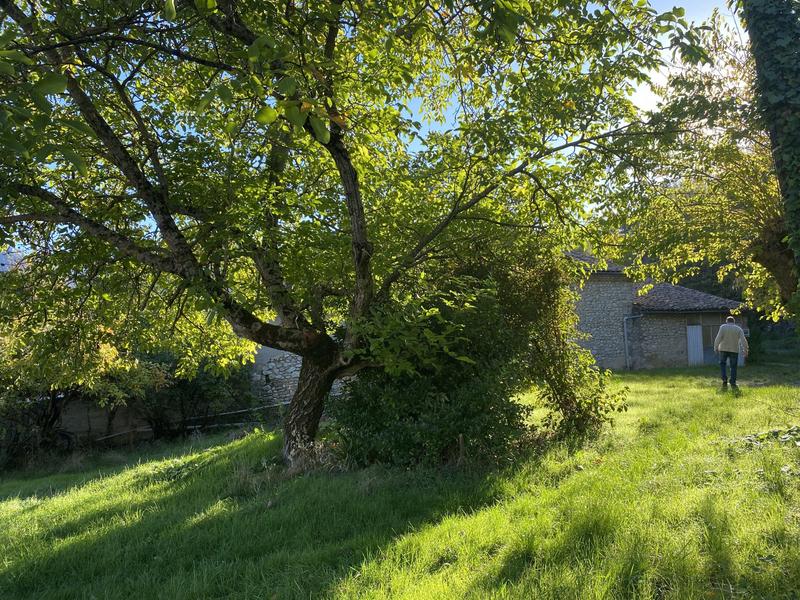 Maison ancienne - 89 m² - 6 pièces