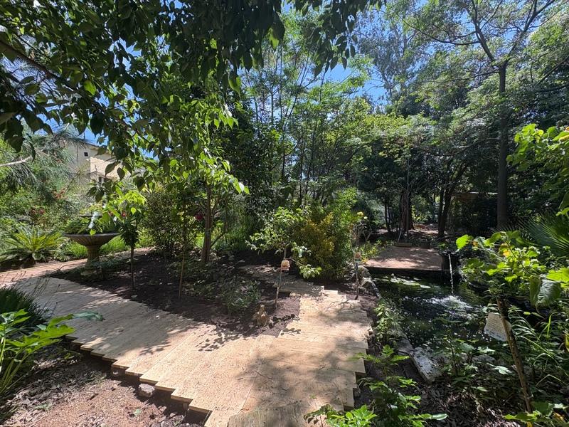 Maison - 35 m² - 1 pièce